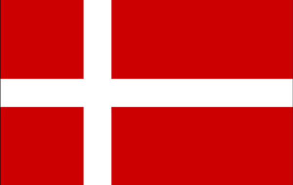 Duński i norweski dla Firm
